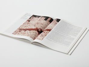 书籍设计 从内容到视觉的艺术融合